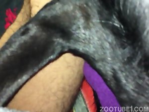 Zofilia Zofilia online em video porno para assistir gratis - Videos Zoofilia